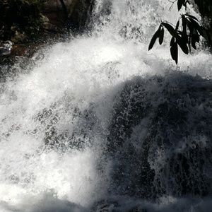 Meet your Posher, Rachele